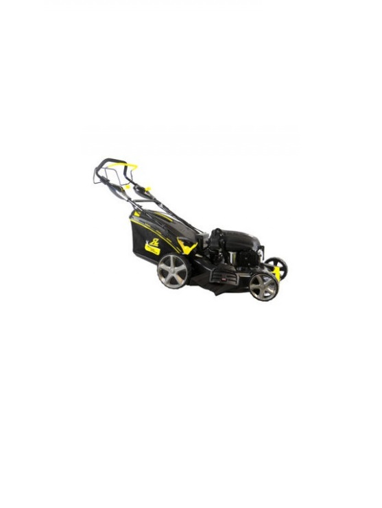 Tondeuse Roques et Lecoeur RL 8481