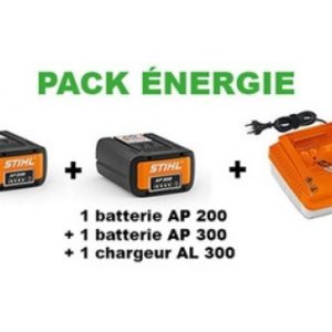 Pack batterie énergie Stihl